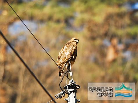 대표시청각 이미지