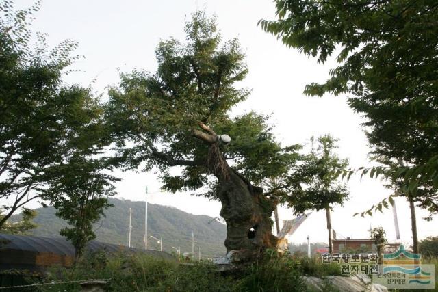 대표시청각 이미지