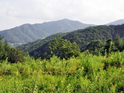 용두산 썸네일 이미지