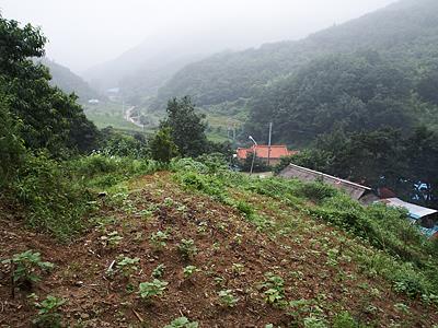 고암리 봉토분 전경 썸네일 이미지