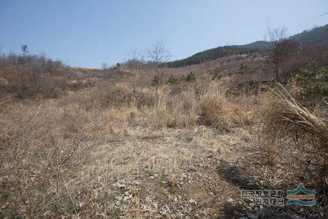 대표시청각 이미지