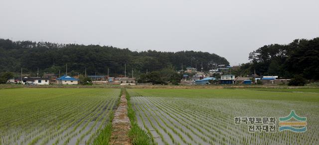 대표시청각 이미지